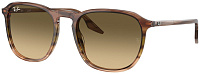 Ray-Ban RB 2203 13920A