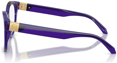 Versace VE 3384 5545