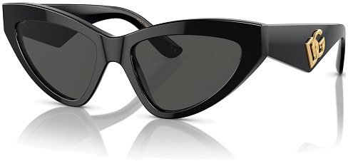 Dolce & Gabbana DG 4439 501/87