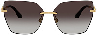 Dolce & Gabbana DG 2321 02/8G