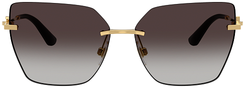 Dolce & Gabbana DG 2321 02/8G