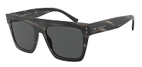 Giorgio Armani AR 8177 540787