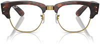 Ray-Ban RX 0316V 2372