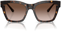 Dolce & Gabbana DG 4384 502/13