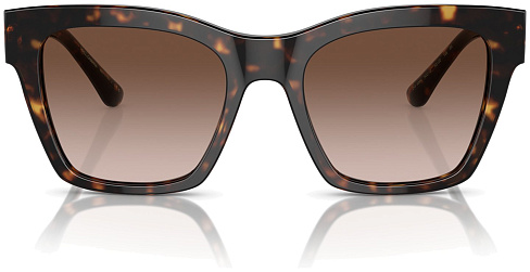 Dolce & Gabbana DG 4384 502/13