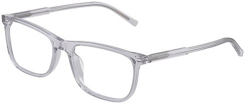 Dolce & Gabbana DG 3427 3291