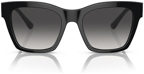 Dolce & Gabbana DG 4384 501/8G
