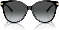 Tiffany & Co TF 4193B 8001T3