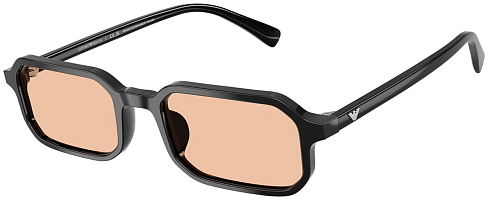 Emporio Armani EA 4253U 501793