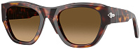 Persol PO 0054S 24/M2