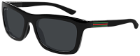 Gucci GG1735S 006