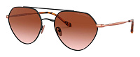 Giorgio Armani AR 6111 300113