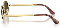 Ray-Ban RB 3931 001/31