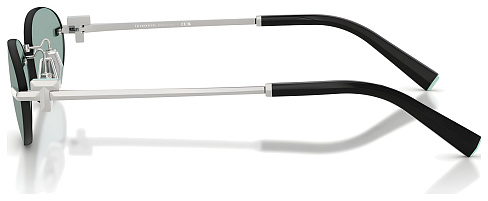 Tiffany & Co TF 3119D 600165