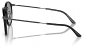 Giorgio Armani AR 318SM 504256