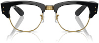 Ray-Ban RX 0316V 2000