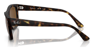Ray-Ban RB 4428 894/5756