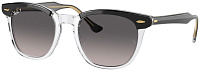 Ray-Ban RB 2298 1294M3