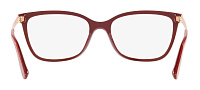 Dolce & Gabbana DG 3317 3219
