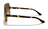 Ray-Ban RB 4125 710/51