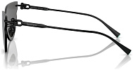 Tiffany & Co TF 3097TD 6205S4