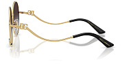 Dolce & Gabbana DG 2324 02/8G
