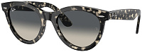 Ray-Ban RB 2241 133371