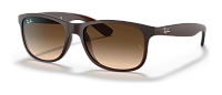 Ray-Ban RB 4202 607313