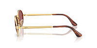 Ray-Ban RB 3931 001/AF