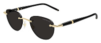 Montblanc MB0412S 005