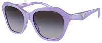 Emporio Armani EA 4221 61178G