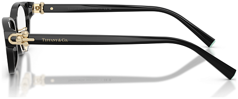 Tiffany & Co TF 2291D 8001