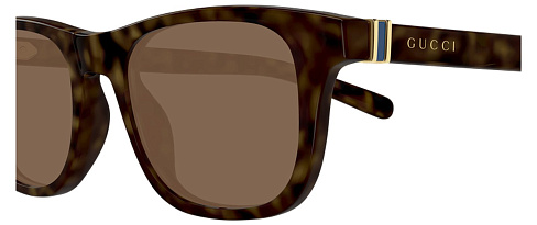Gucci GG1671S 006