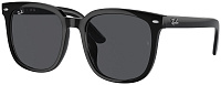 Ray-Ban RB 4401D 601/87