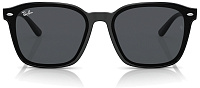 Ray-Ban RB 4392D 601/87