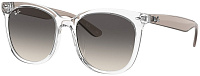 Ray-Ban RB 4379D 659811