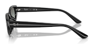 Ray-Ban RB 4457D 667711