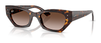 Ray-Ban RB 4430 135913