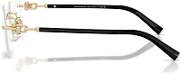 Tiffany & Co TF 1170D 6021