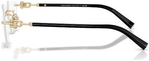 Tiffany & Co TF 1170D 6021