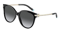 Tiffany & Co TF 4193B 8001T3
