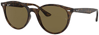 Ray-Ban RB 4305 710/73
