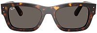 Ray-Ban RB 7683S 902/B1