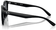 Ray-Ban RB 4392D 601/87
