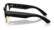 Ray-Ban RX 0316V 2000