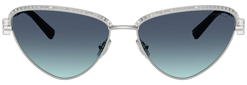 Tiffany & Co TF 3107KB 62139S
