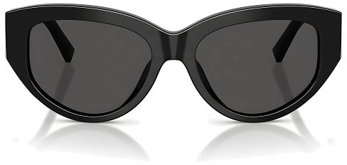Dolce & Gabbana DG 4514 501/87