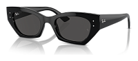 Ray-Ban RB 4430 667787