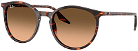 Ray-Ban RB 2204 14293B