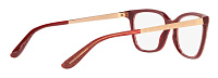 Dolce & Gabbana DG 3317 3219